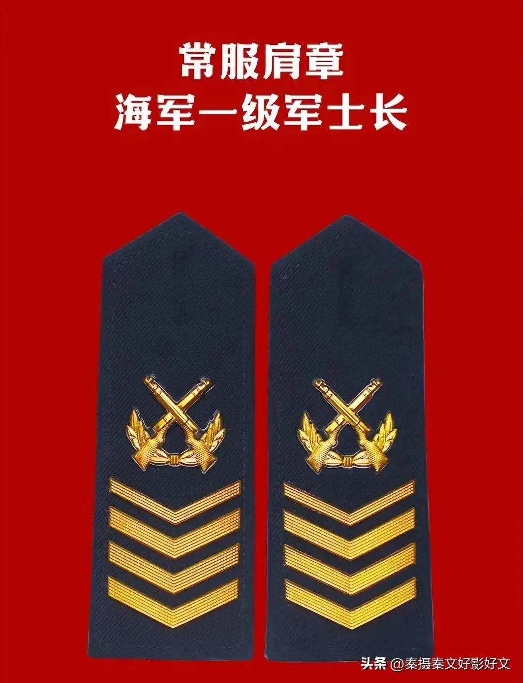 陆海空火箭军*警武**部队全套常服肩章和21式作业服套式肩章