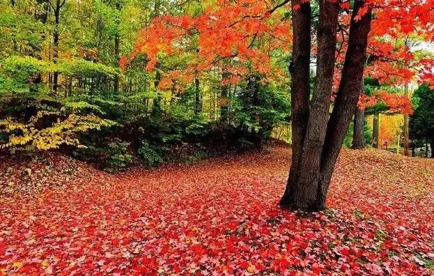 sothat和suchthat的用法区别,sothat和suchthat的用法和区别