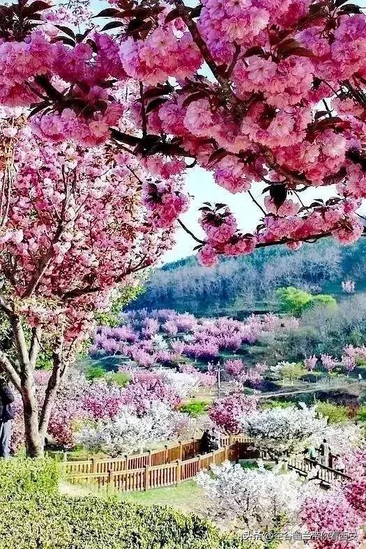 宅在家里挣钱的副业,宅在家也可以找个副业