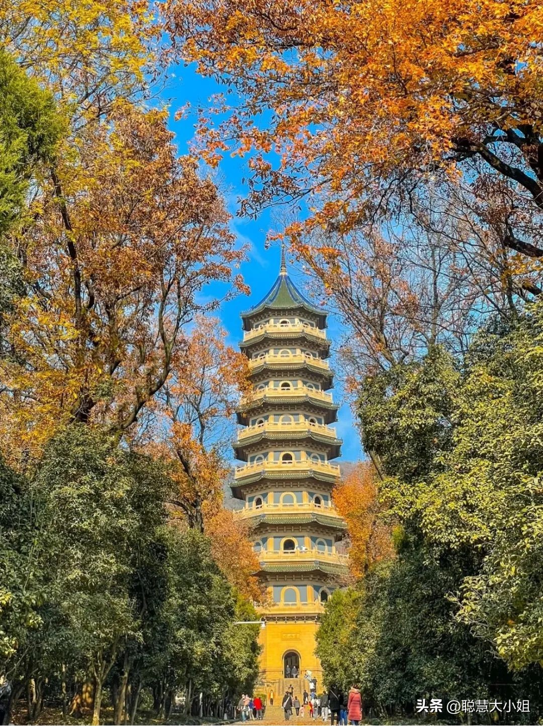 南京赏秋枫叶,南京秋天赏枫叶好去处