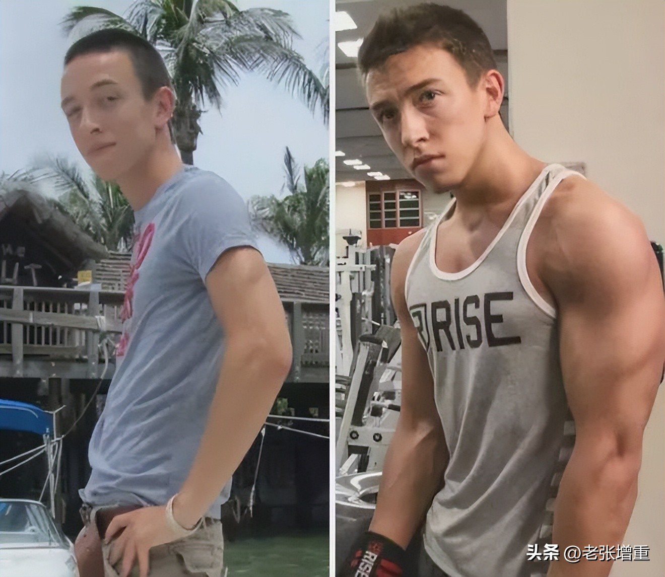 增肌粉和蛋白粉哪个副作用大,增肌粉和蛋白粉功效区别