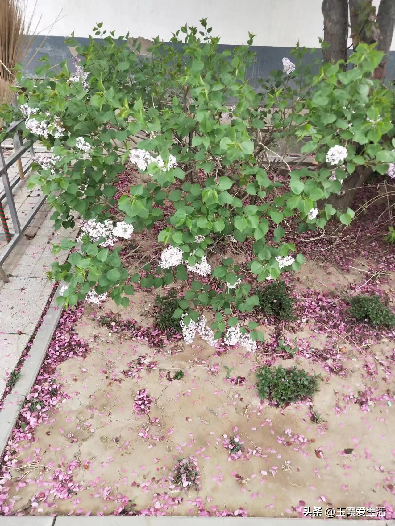 期中试卷发下来考得很差,期中考试成绩很差该如何逆袭