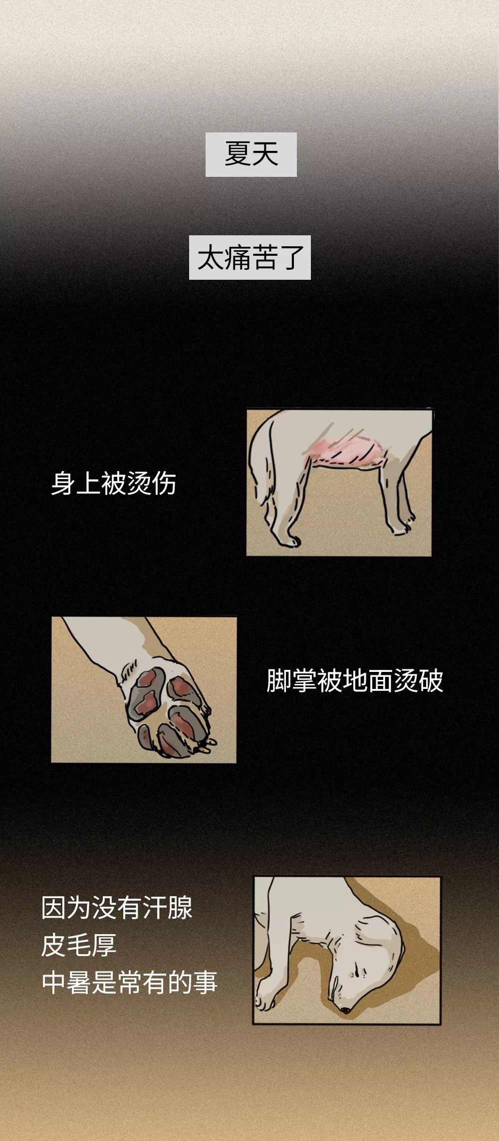 救救我36关怎么过,一只流浪狗自述