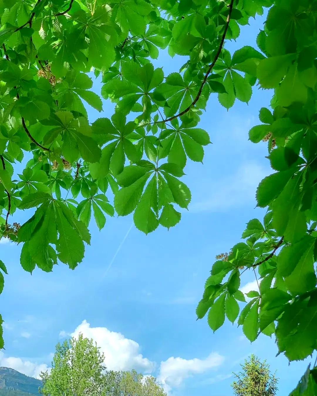 背景图一组个性,背景图一组精选朋友圈背景图