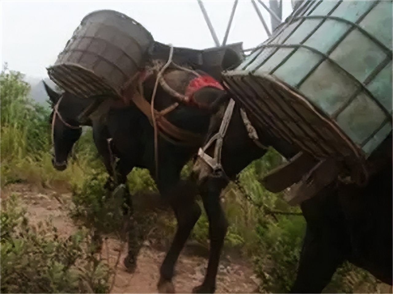 山里马帮的真实生活,农村夫妻货车生活真实记录