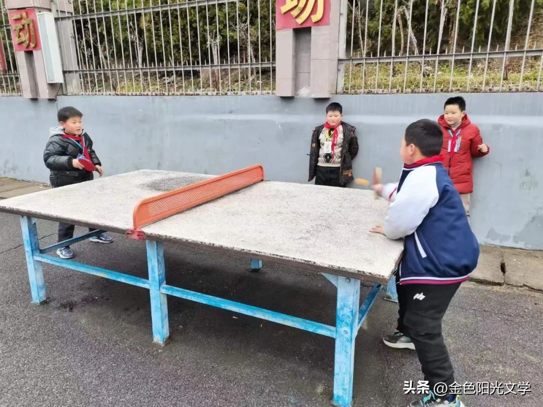 懂交通规则的动物,懂交规的狗