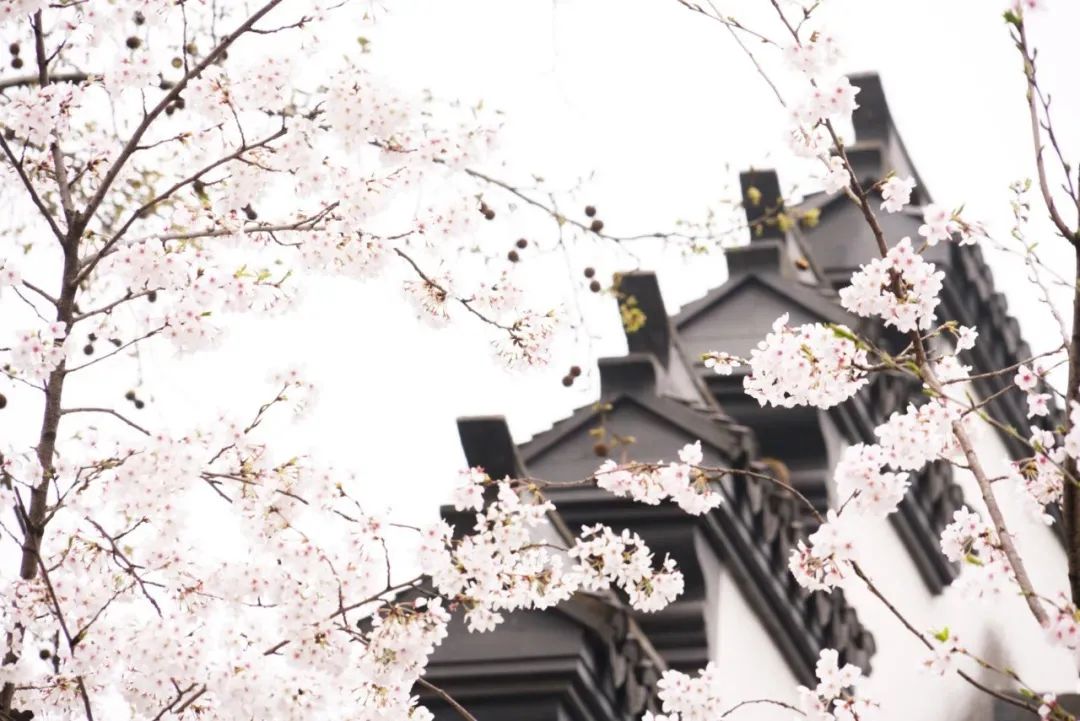 虹口体育场馆,虹口体育场旅游集散中心