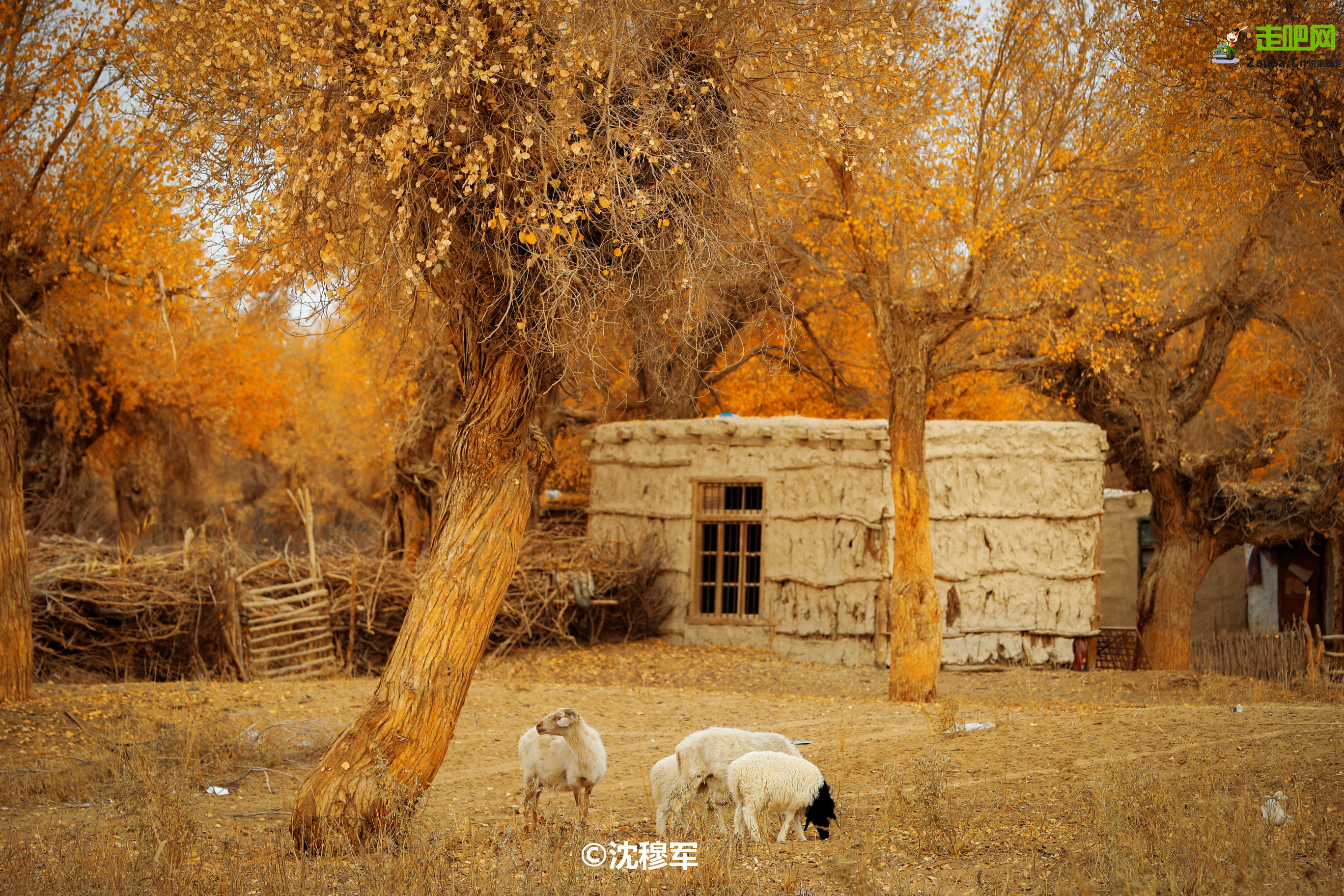 国内最值得自驾的七条绝美路线,此生必去的中国100个攻略