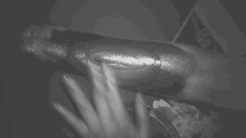 防晒干货分享：我们试了5款热门防晒，想找合适的就按这个标准选