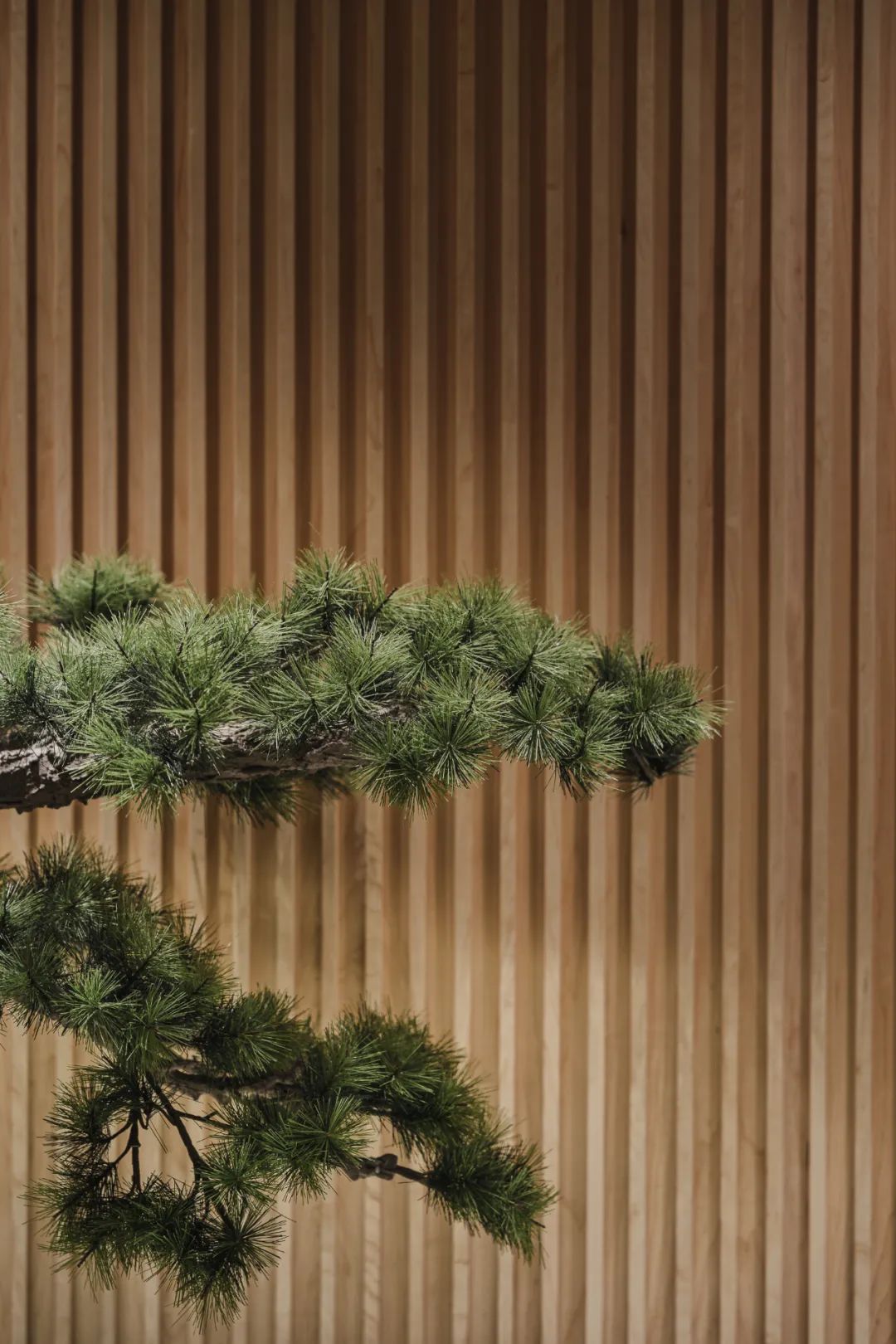 觅·「黑珍珠Omakase」の匠心情怀，收藏好这份指南