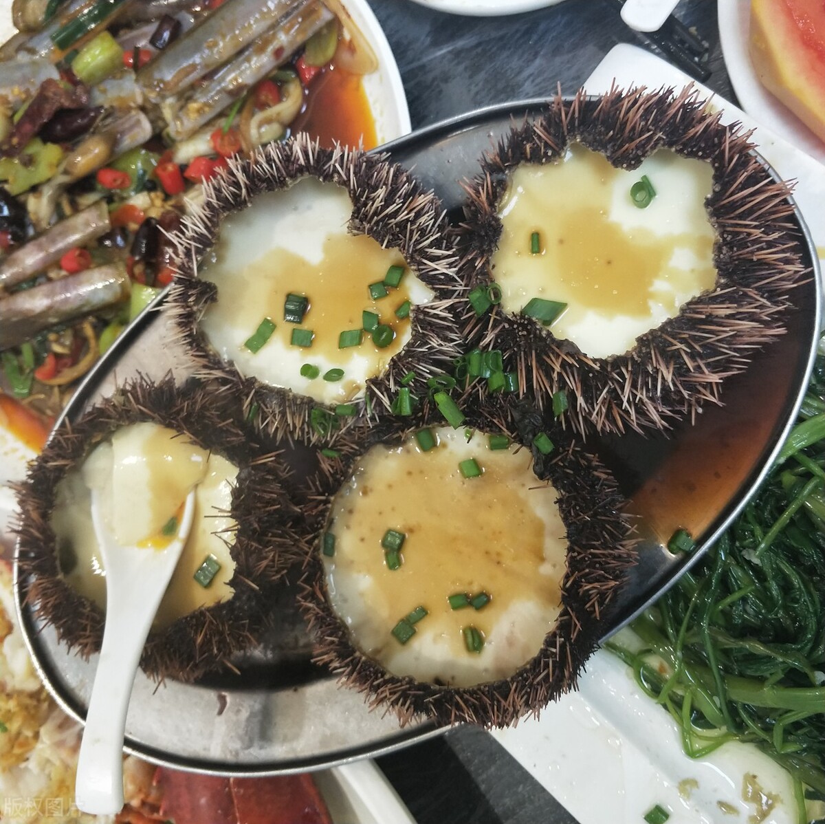 三亚度假旅行,寻找三亚之旅