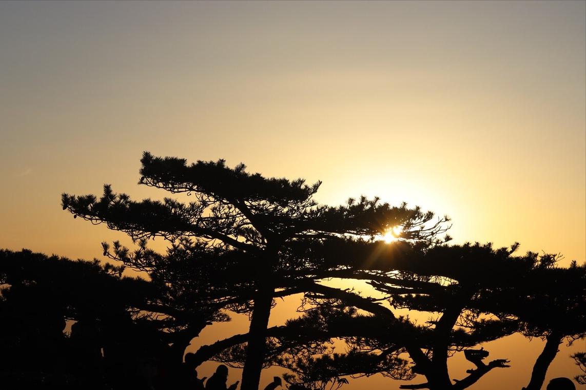 古诗早发白帝城唐李白朗读,早发白帝城古诗李白