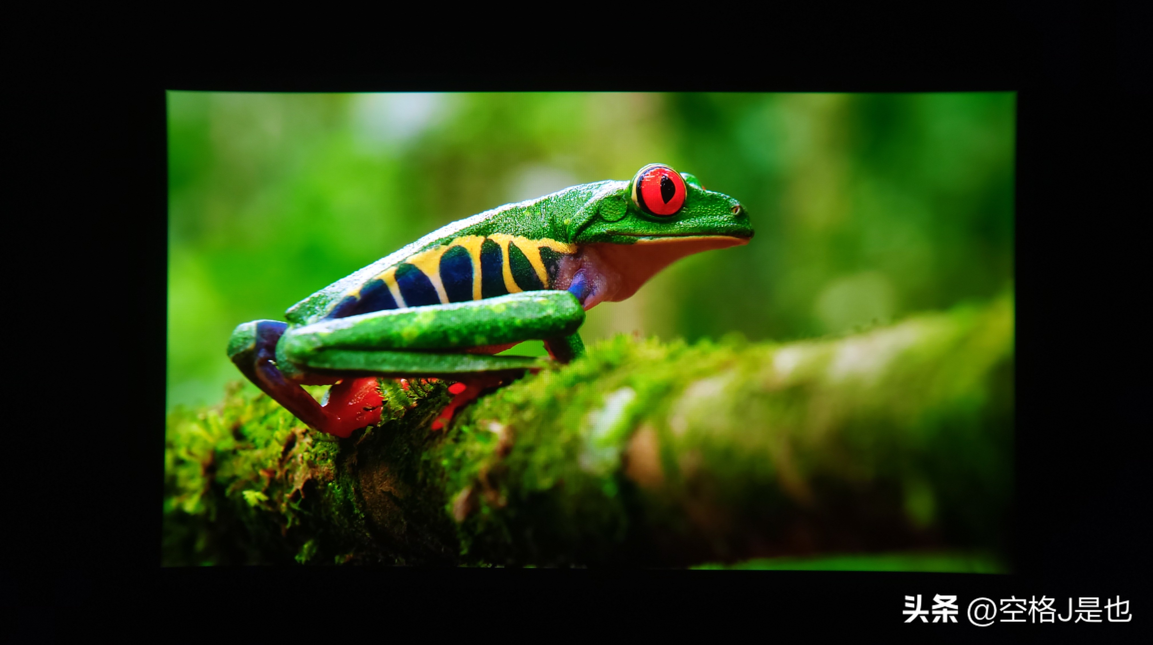 随身IMAX私人影院体验GoovisG3Max深度测评