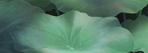 人生就是一场历练与感悟,人生就是一种感受一种历练