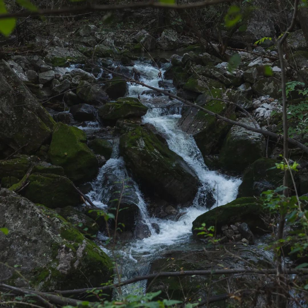 登太白山感受,太白山景区登顶拔仙台