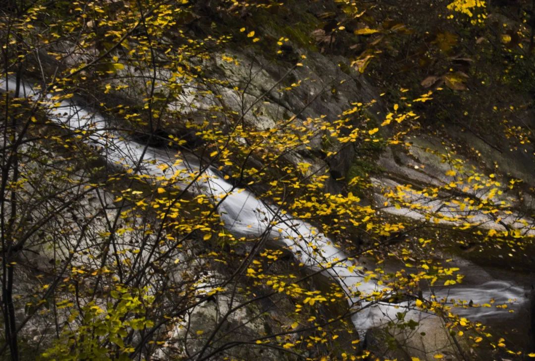 洛阳网红打卡地推荐,洛阳又一个网红打卡地