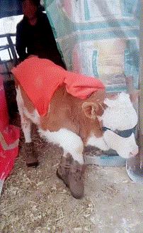 好不容易把钱还完了,好不容易把债还完了