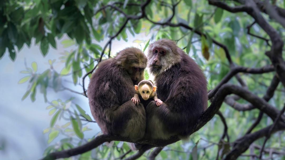 西安周边一日游自驾免费景区,2022全国免费景区一览表
