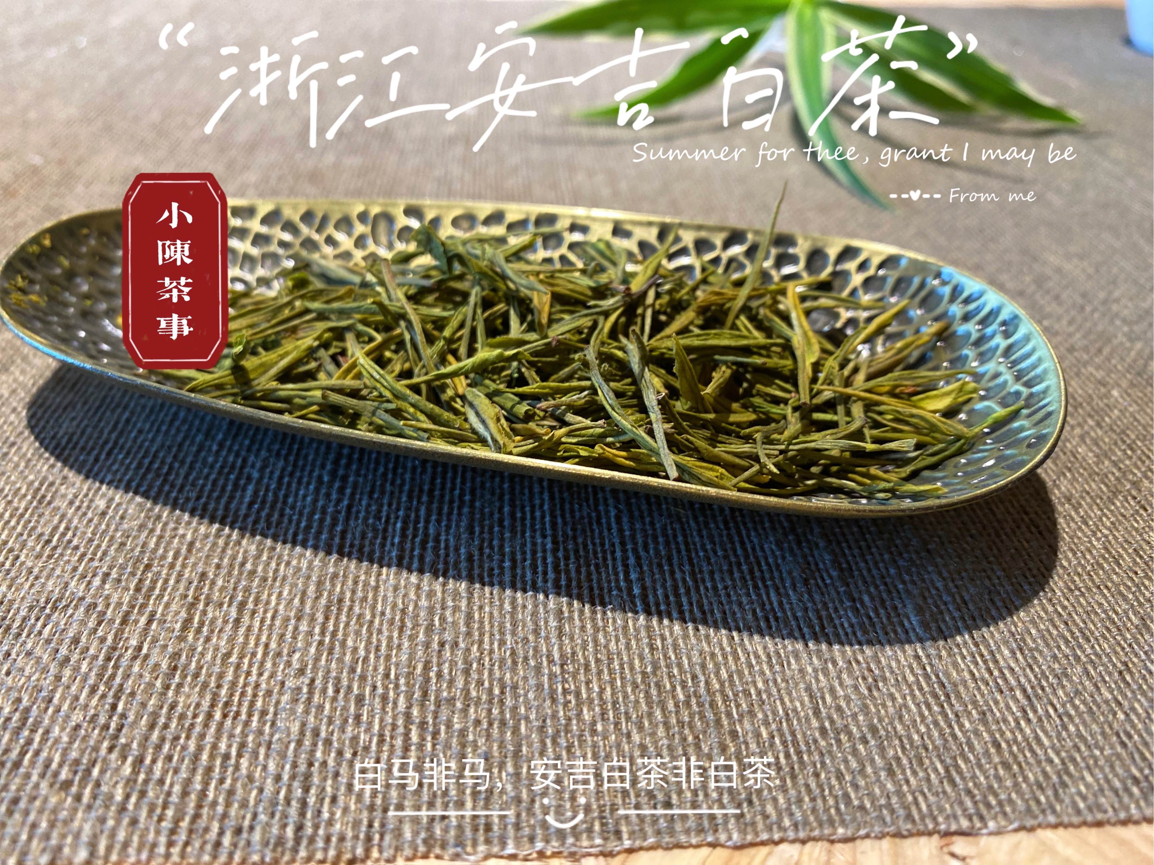 大红袍是什么茶铁观音茶是绿茶吗,大红袍属于什么茶是绿茶还是红茶