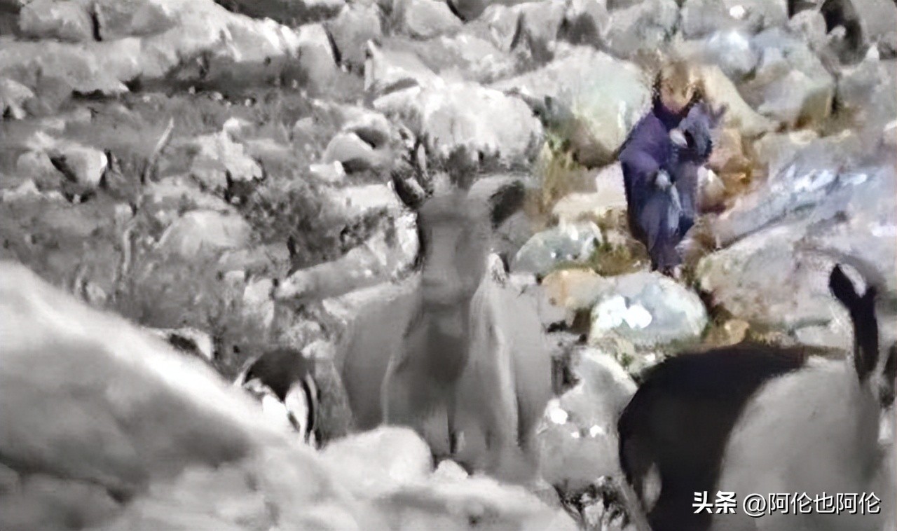 克罗地亚魔笛世界杯,老男孩世界杯