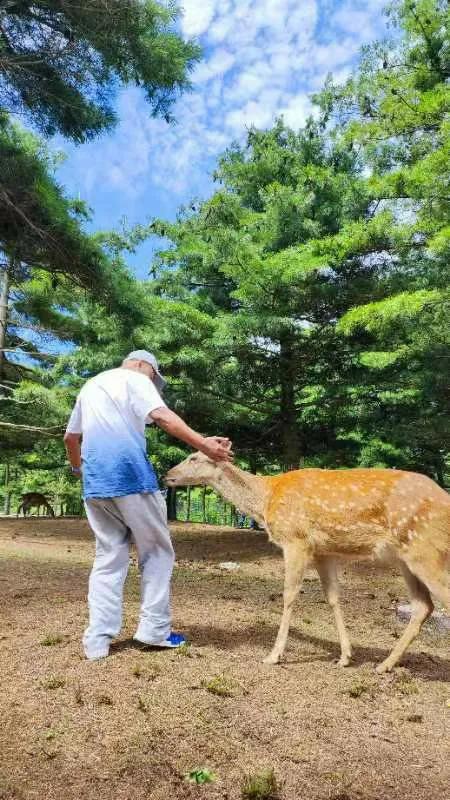 江边一哥原创的诗句,江边一哥诗词原创