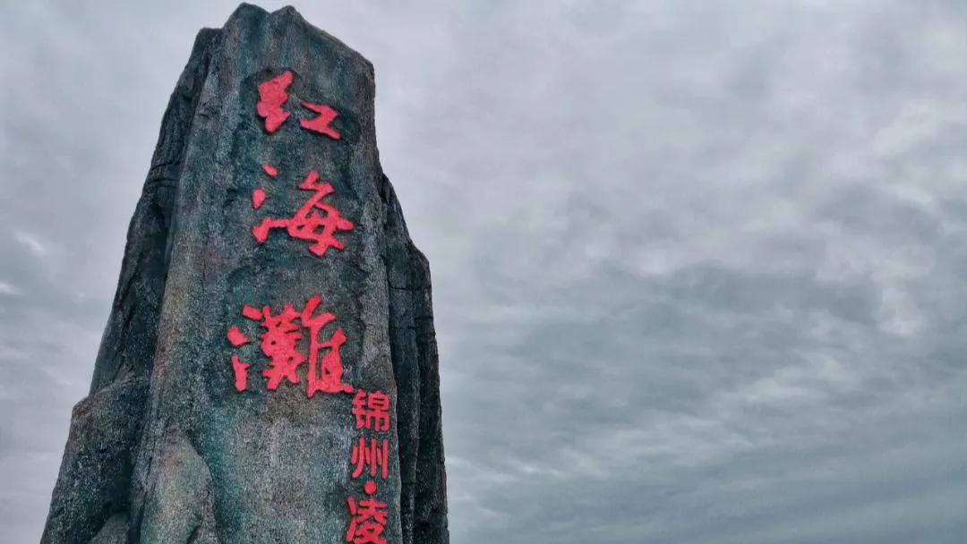 锦州大凌河红海滩,辽宁锦州凌海红海滩