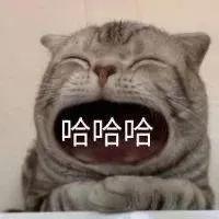 轻轻敲醒沉睡的心灵表情包高清,轻轻敲醒沉睡的心灵表情包