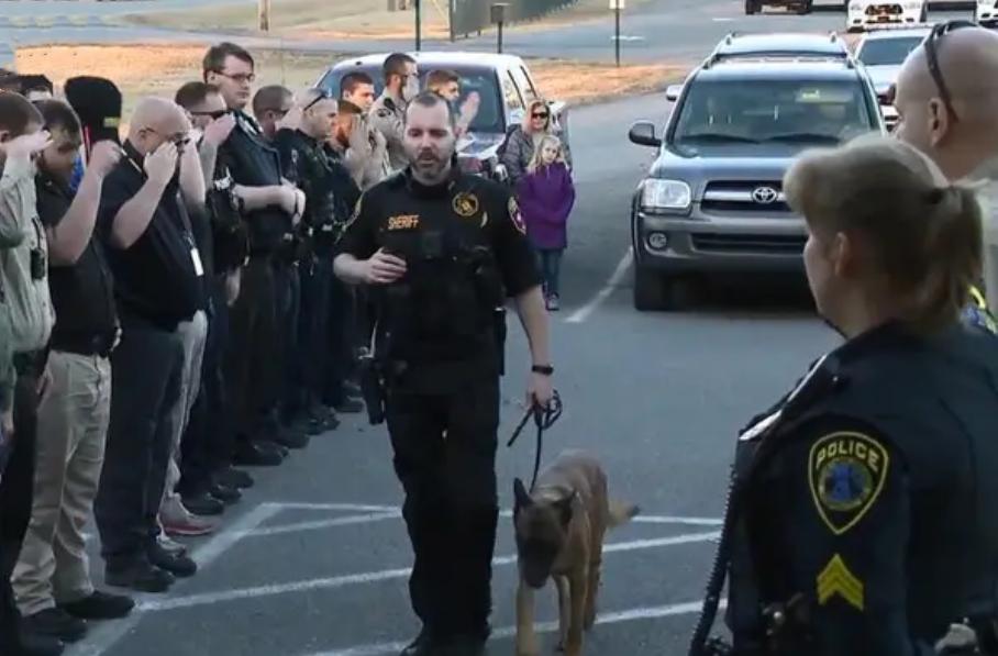 1998年，美国俄亥俄州一大丹狗将主人折磨致死，案件始终未能告破