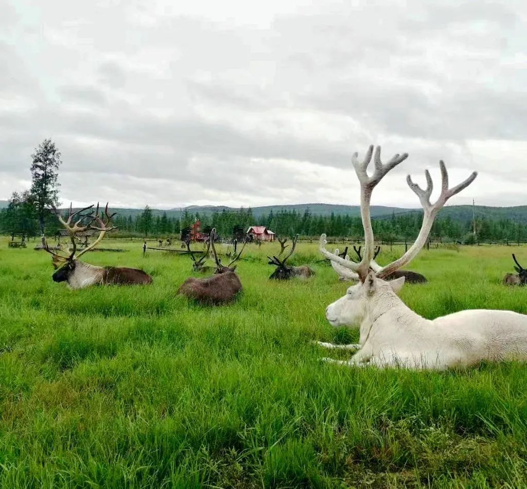 七月中国美如画，夏日避暑五十处