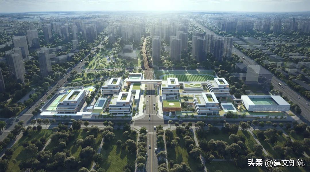 【荐筑】细胞聚落：宁波庐南城市更新区配套学校/华森+宁大地基