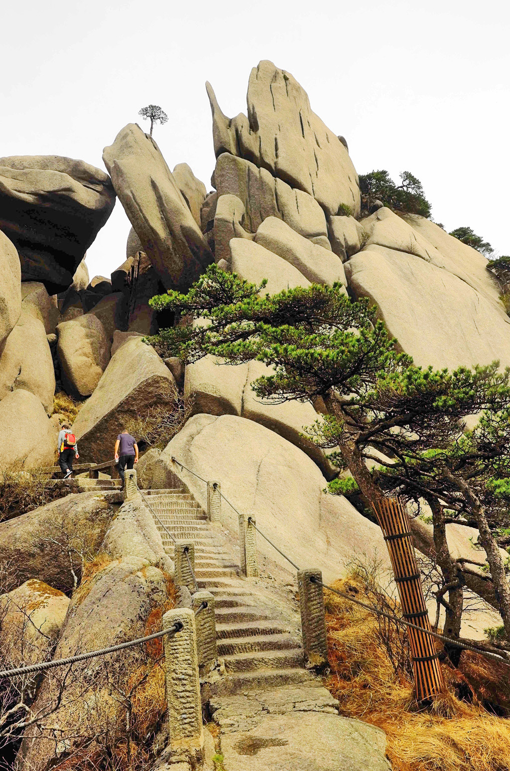 黄山天都峰会走鲫鱼背吗,黄山天都峰鲫鱼背第一视角