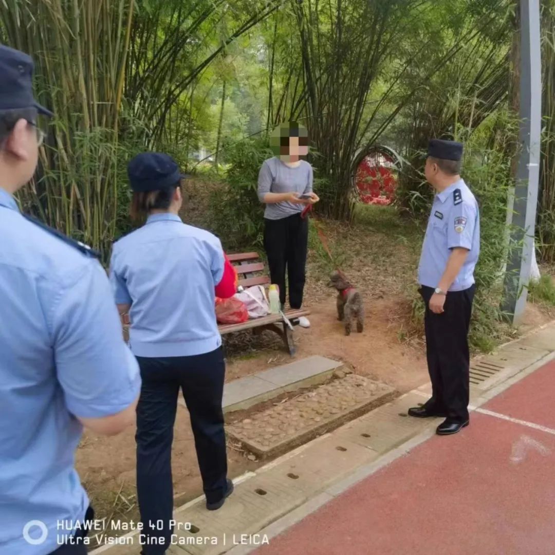 文明城市因不文明养犬被处罚,抚顺整治不文明养犬