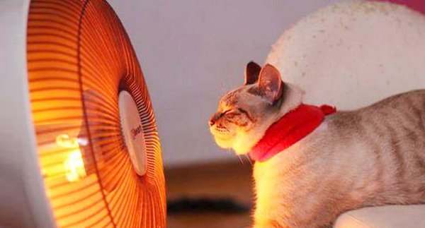 科普文章心得,新手考虑哪款烤箱