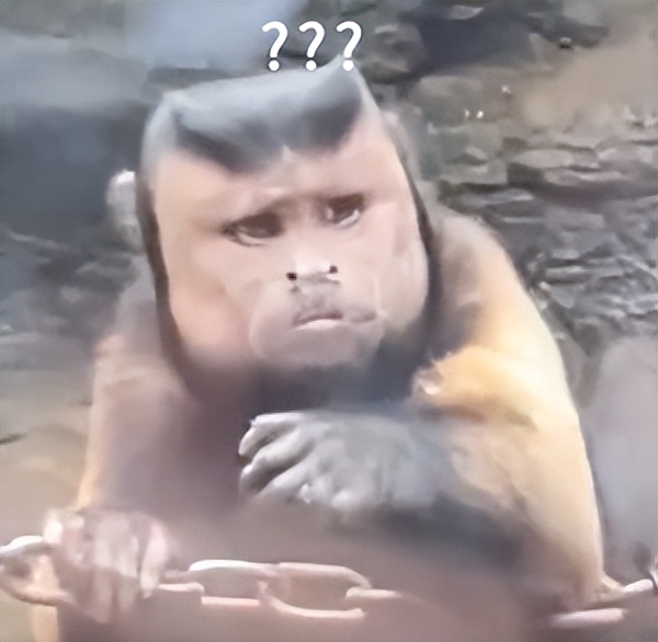 鎾炶劯鏂硅劯鐚村瓙鐨勫コ缃戠孩,鏂硅劯鐚村瓙妯′豢浜虹殑琛ㄦ儏