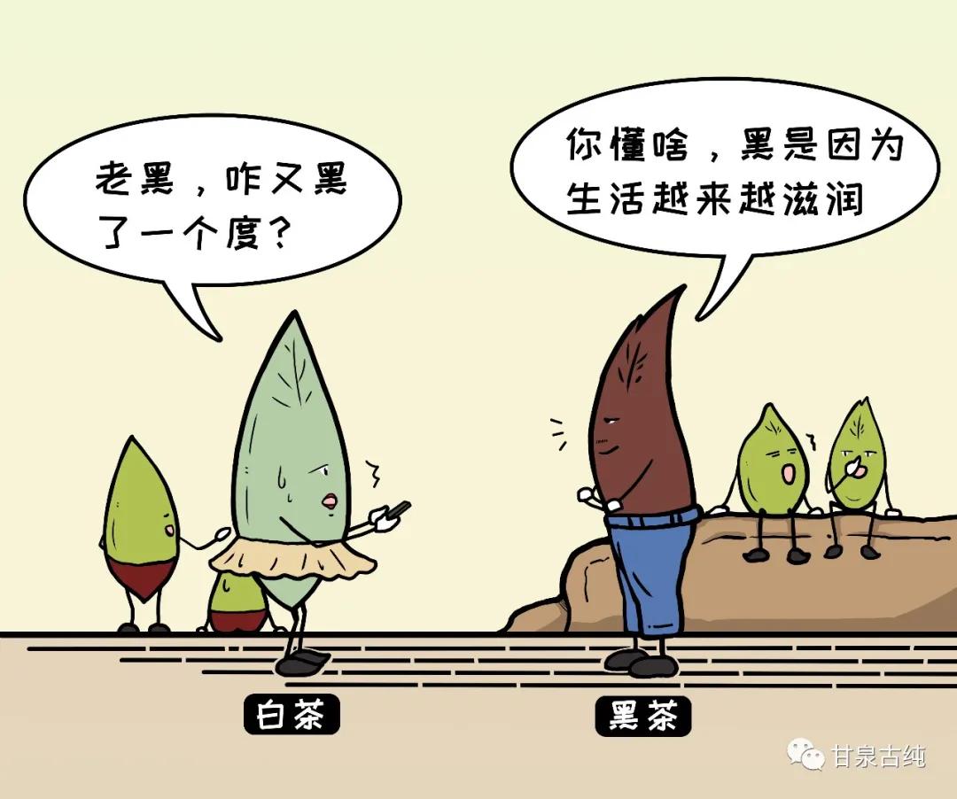 茶渣真的渣,茶渣不过滤有害吗