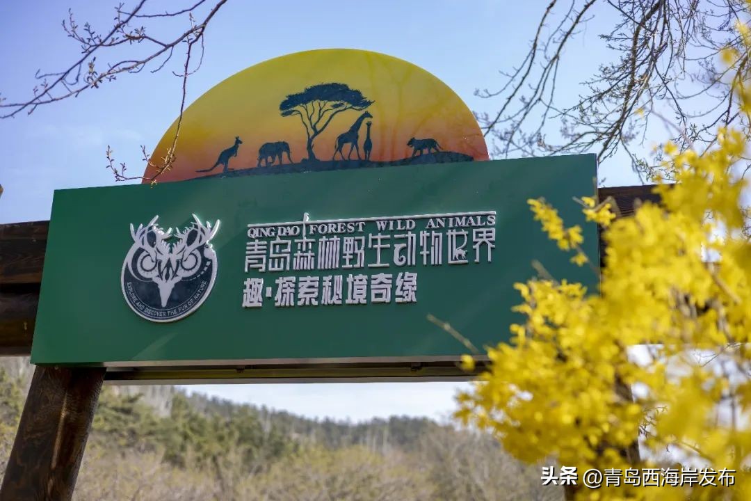 现实版小森林，这些藏在西海岸周边的乡野太治愈