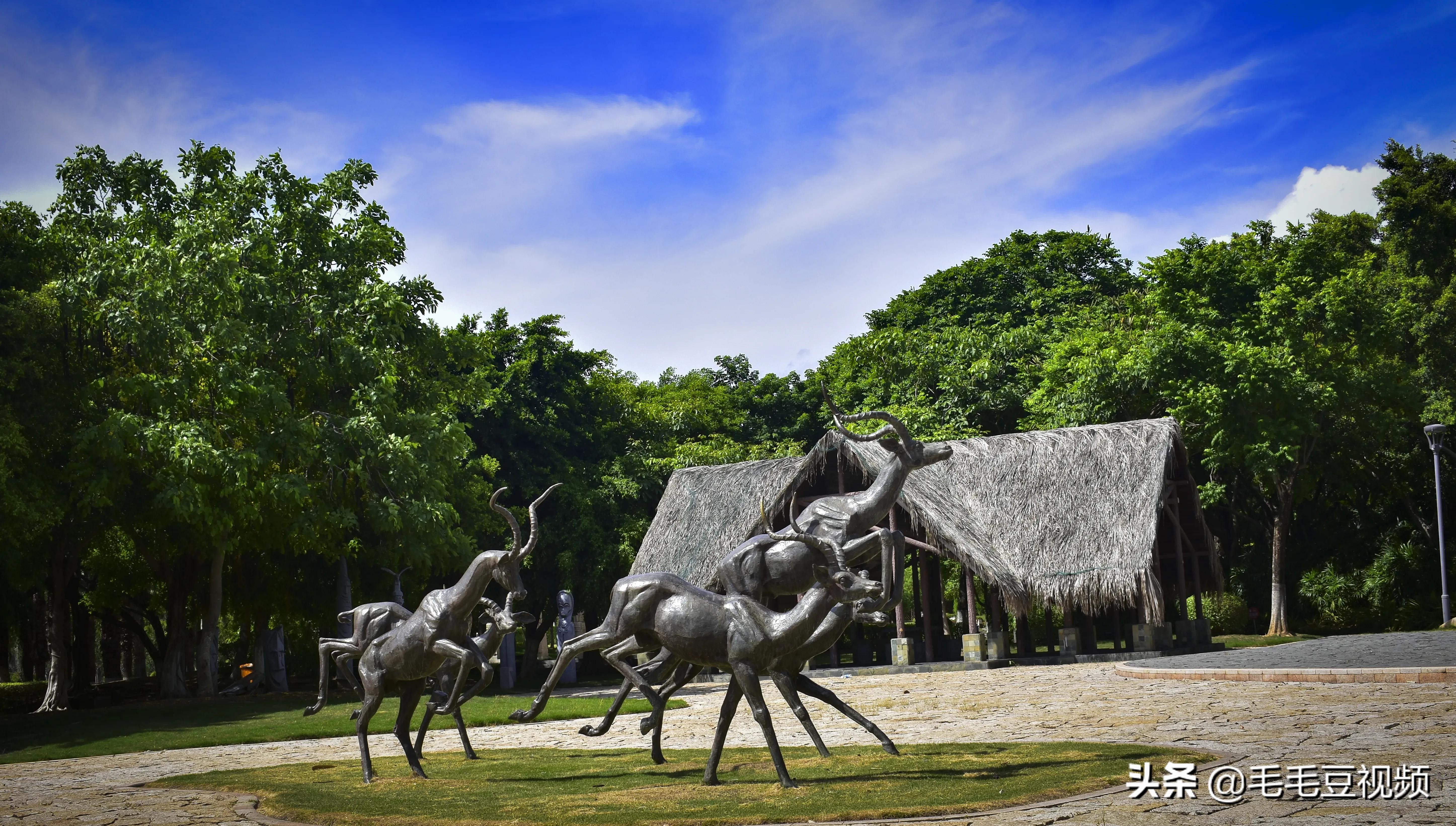 厦门适合初次约会的景点,厦门约会免费景点攻略图