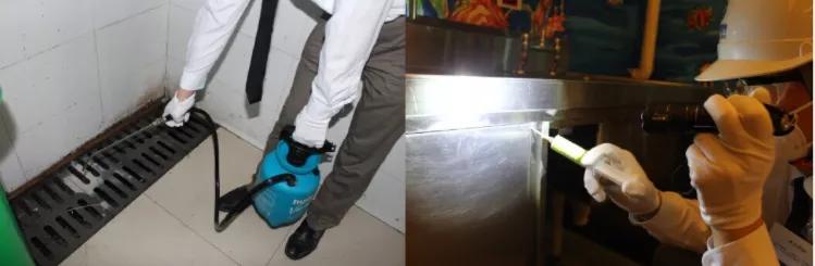 杀虫剂主要品种和药剂名称,杀虫剂知识整理