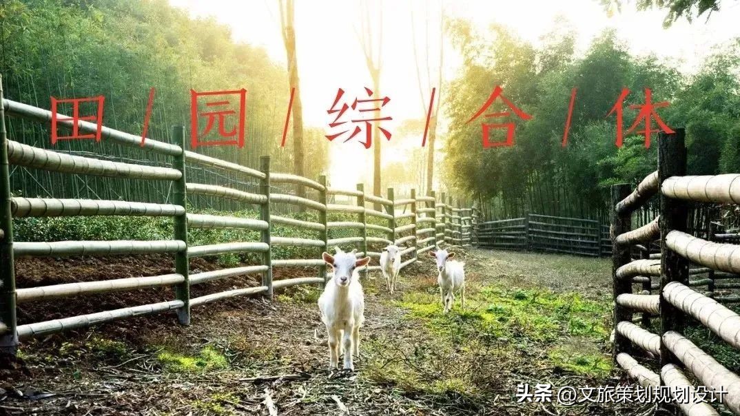 田园康养综合体设计,北京田园综合体规划设计案例