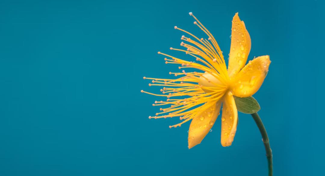 梁思成和林徽因孩子现在情况,林徽因和梁思成在学习的过程中