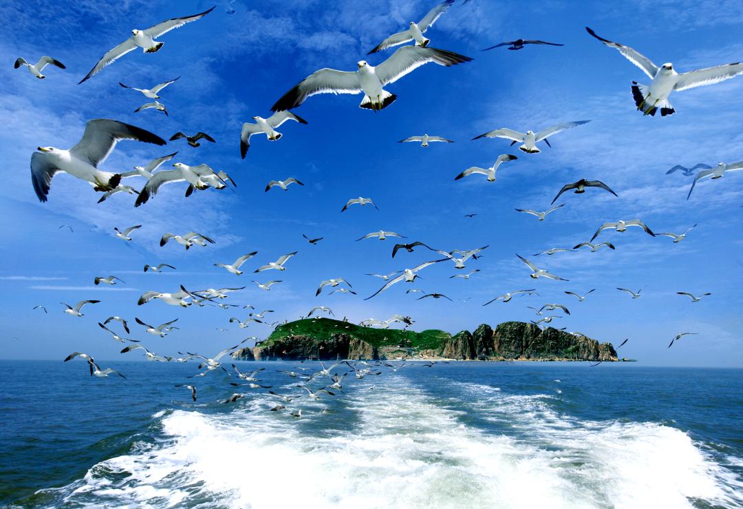 阳光正好周末出去走走,阳光明媚的周末游