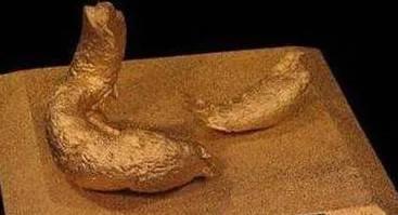 鍥藉榛戞殫缇庨鏂欑悊,鐩樼偣鍗佸ぇ澶栧浗榛戞殫鏂欑悊