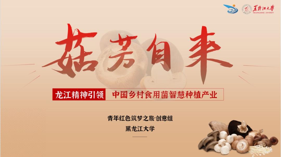 快围观！黑龙江大学“互联网+”大赛国赛获奖项目在这里！