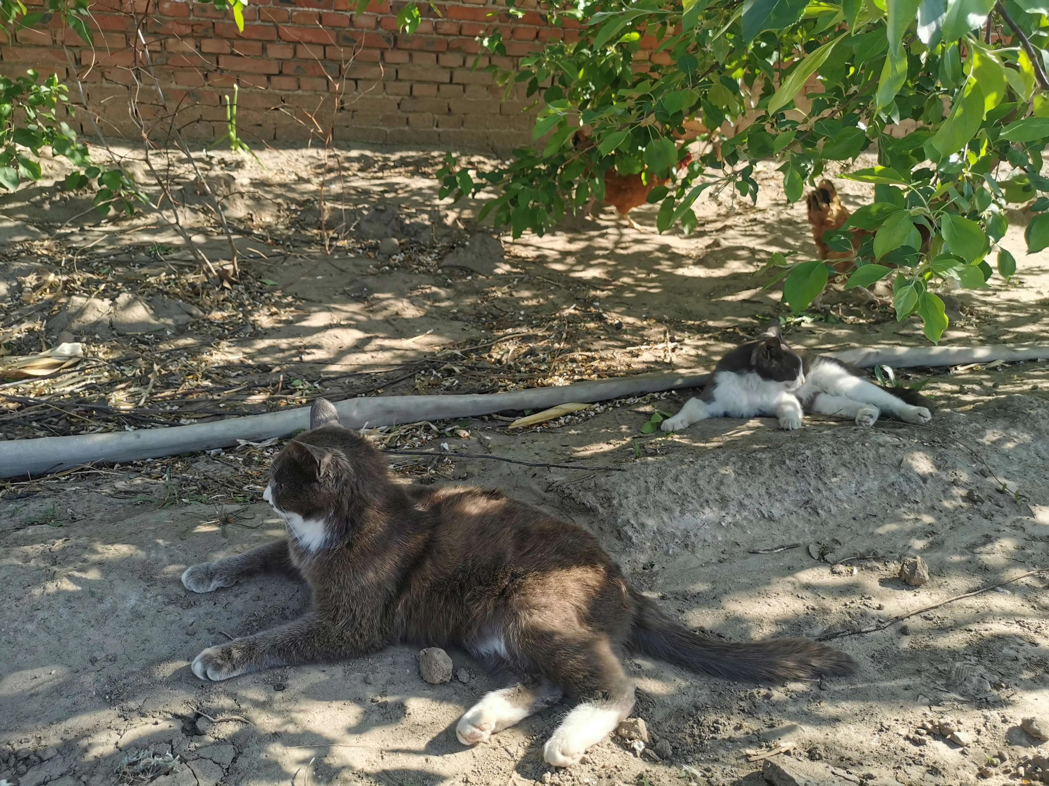 人生的路上靠自己才是硬道理,人生干什么事都要趁早