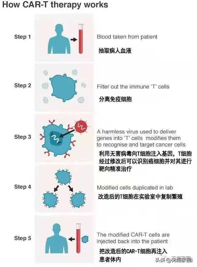 罗京吴宇森，同病不同命，对抗淋巴瘤，抗癌新势力CAR-T崛起