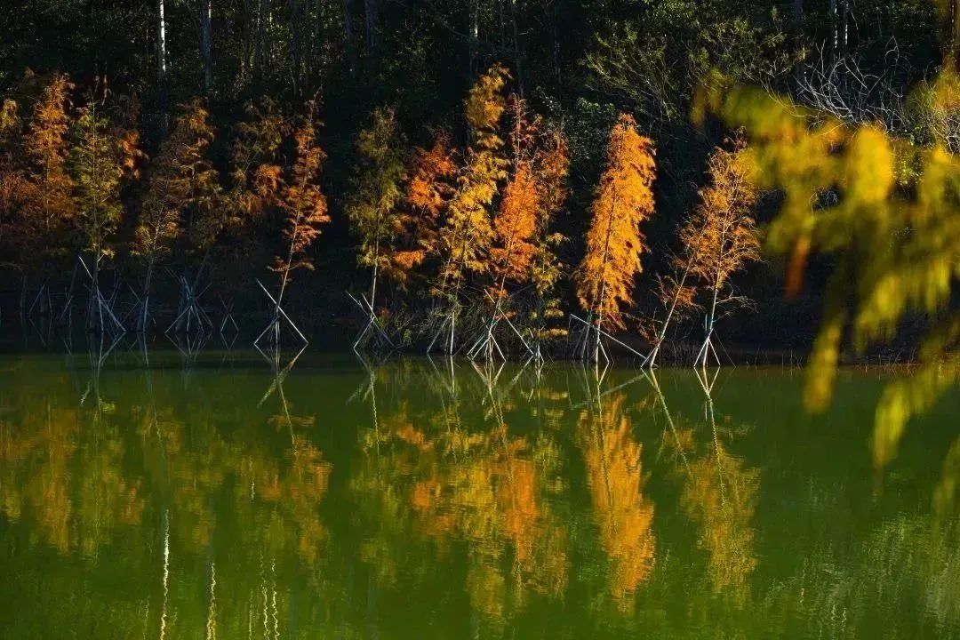 从化天人山水二日游,从化天人山水一日游攻略
