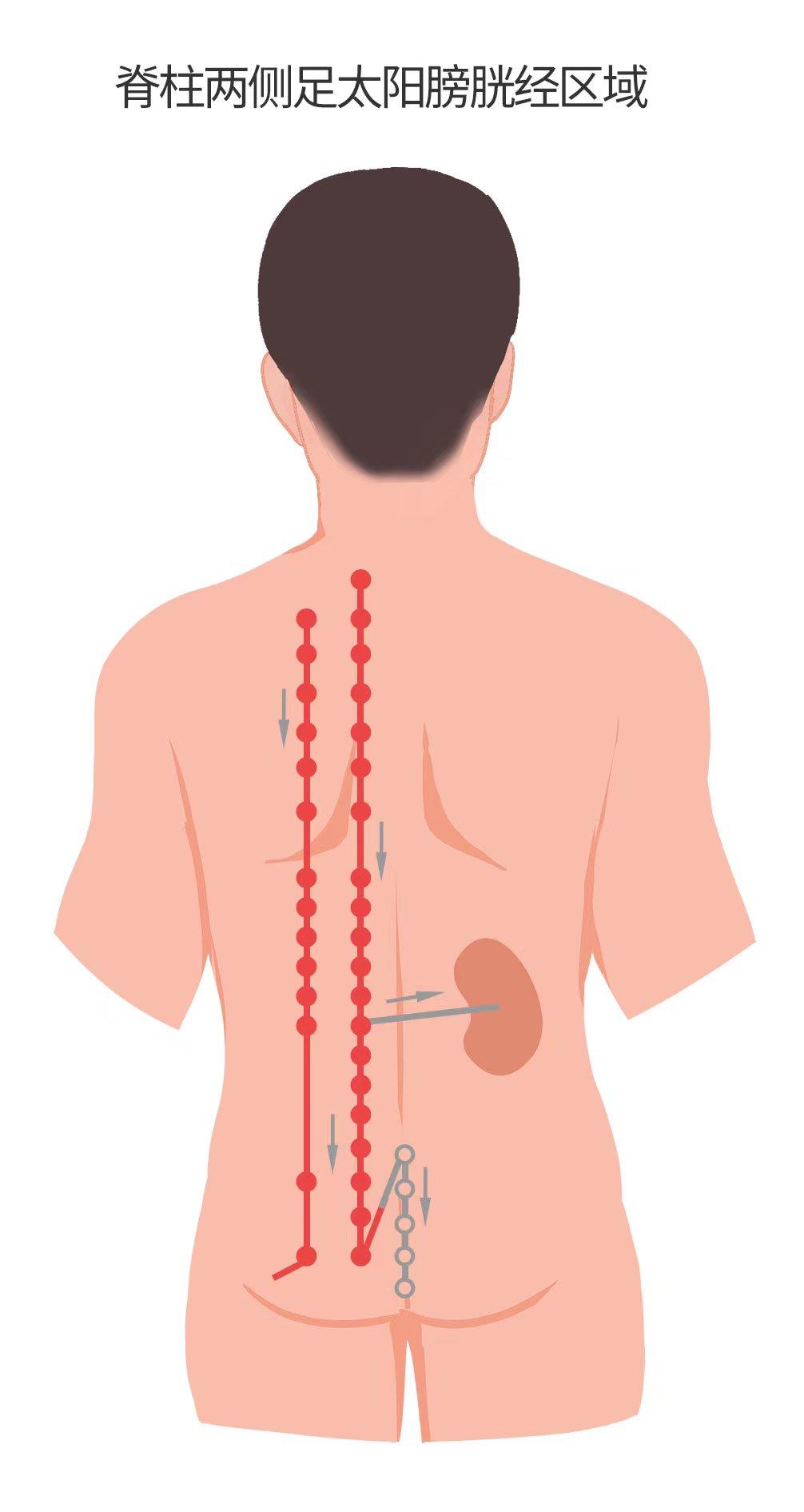 青岛市卫生健康委员会关于印发青岛市新冠病毒感染者居家中医药治疗指南的通知