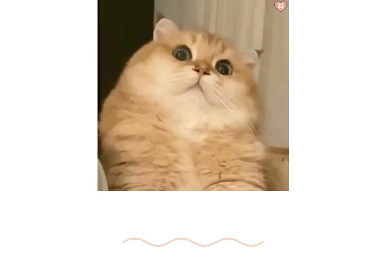 孔乙己茴香的茴字有几种写法,你知道茴香豆的茴字怎么写吗