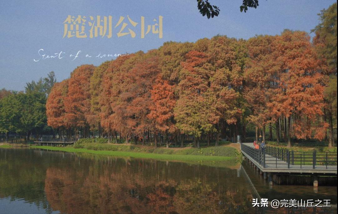 广州5a景区正佳广场,广州5a景点排名大全