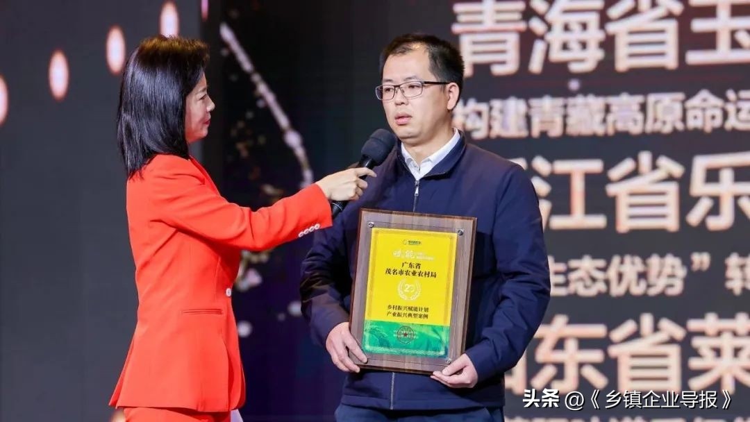 乡村振兴赋能计划人才典型案例,乡村振兴之文化振兴案例